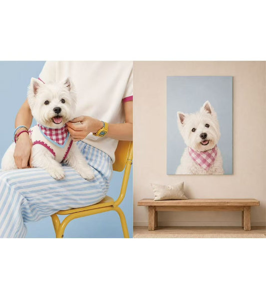 Small Accessories, Big Smiles: Everyday Essentials for Happy Pets