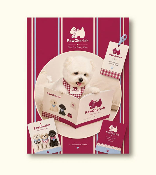 Why Everyday Comfort Matters More Than Pet Fashion Trends