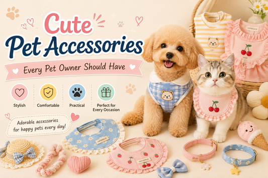Cute Pet Accessories Every Pet Owner Should Have